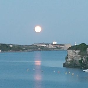 Not selling anything